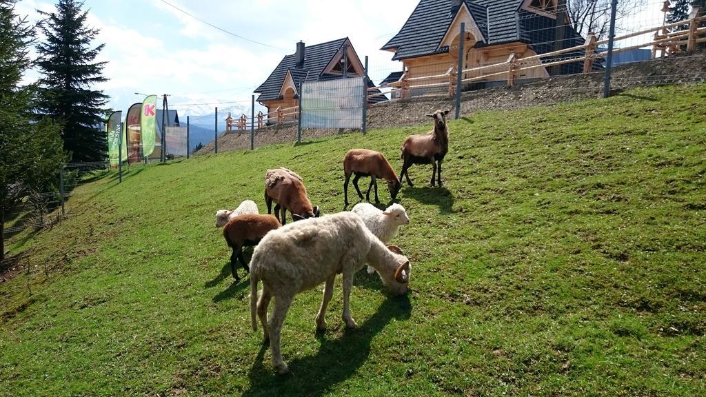 Willa Skorusyna Bed and Breakfast Gliczarów Εξωτερικό φωτογραφία